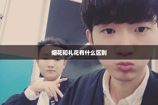 烟花和礼花有什么区别