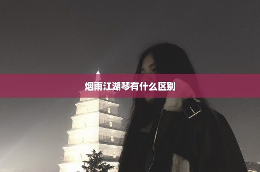 烟雨江湖琴有什么区别