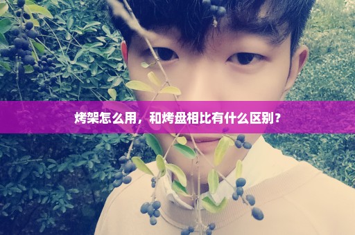 烤架怎么用，和烤盘相比有什么区别？