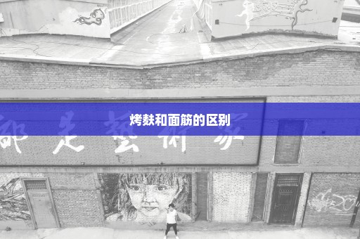 烤麸和面筋的区别