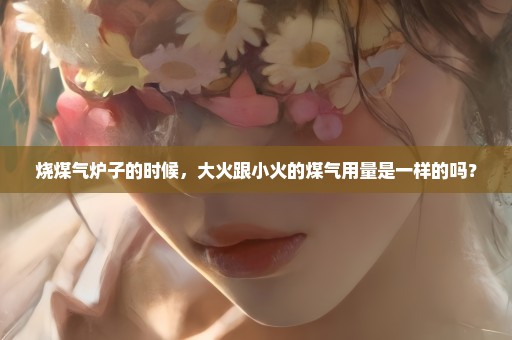 烧煤气炉子的时候，大火跟小火的煤气用量是一样的吗？