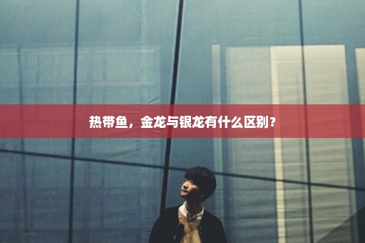 热带鱼，金龙与银龙有什么区别？