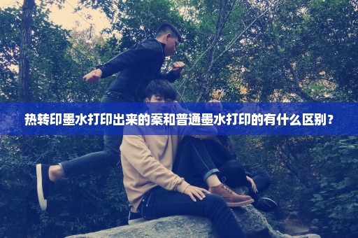 热转印墨水打印出来的案和普通墨水打印的有什么区别？