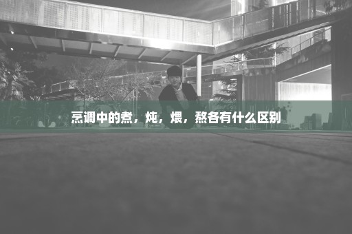 烹调中的煮，炖，煨，熬各有什么区别