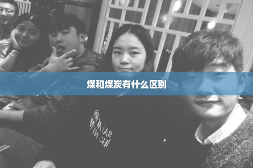 煤和煤炭有什么区别