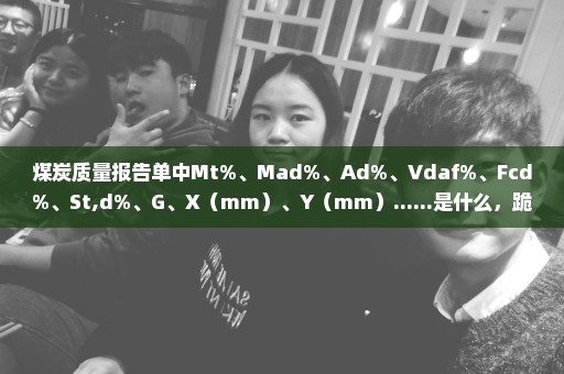 煤炭质量报告单中Mt%、Mad%、Ad%、Vdaf%、Fcd%、St,d%、G、X（mm）、Y（mm）......是什么，跪求详解！