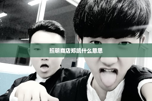 照明商店郑凯什么意思