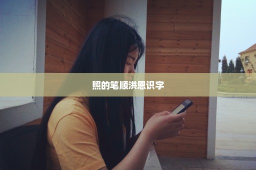 照的笔顺洪恩识字