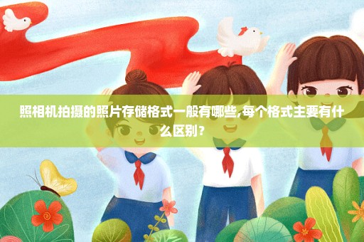 照相机拍摄的照片存储格式一般有哪些,每个格式主要有什么区别？