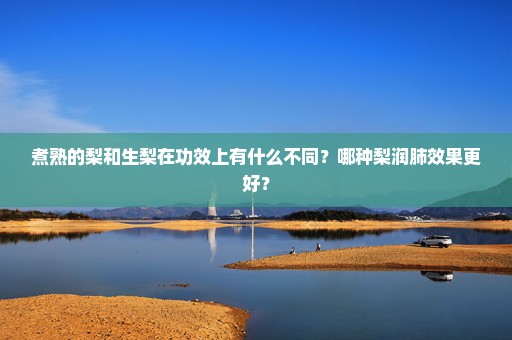 煮熟的梨和生梨在功效上有什么不同？哪种梨润肺效果更好？