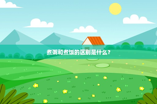 煮粥和煮饭的区别是什么？