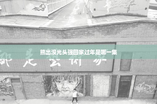 熊出没光头强回家过年是哪一集