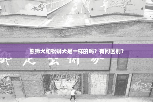 熊狮犬和松狮犬是一样的吗？有何区别？