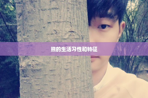 熊的生活习性和特征
