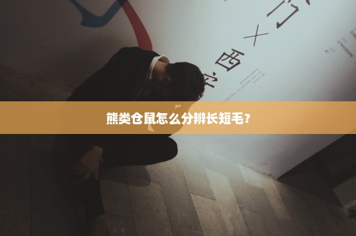 熊类仓鼠怎么分辨长短毛？