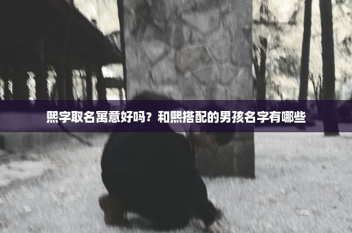 熙字取名寓意好吗？和熙搭配的男孩名字有哪些