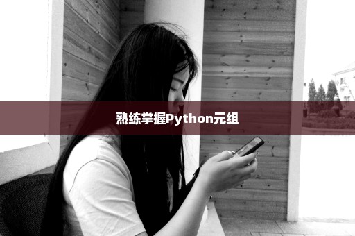 熟练掌握Python元组