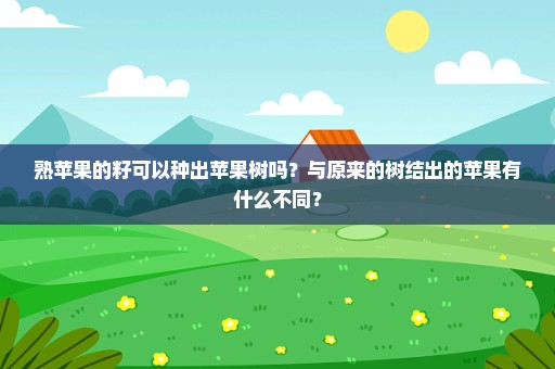 熟苹果的籽可以种出苹果树吗？与原来的树结出的苹果有什么不同？