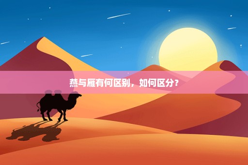 燕与雁有何区别，如何区分？