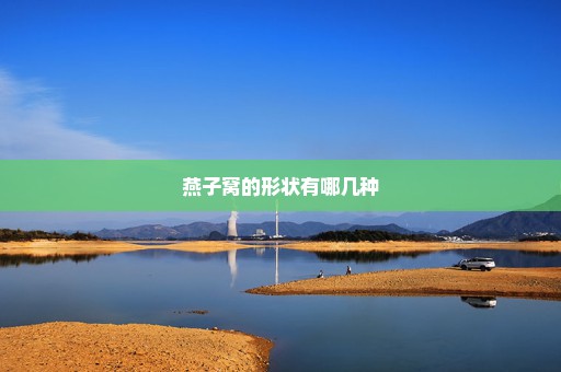 燕子窝的形状有哪几种