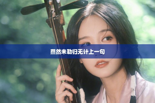 燕然未勒归无计上一句