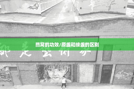 燕窝的功效/原盏和接盏的区别