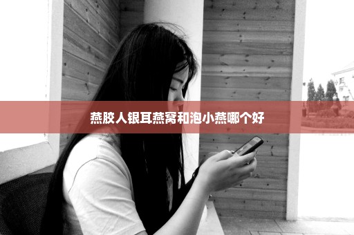 燕胶人银耳燕窝和泡小燕哪个好