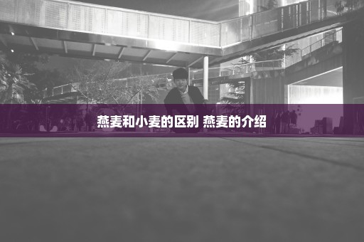 燕麦和小麦的区别 燕麦的介绍
