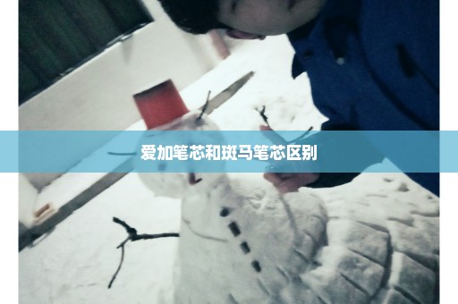爱加笔芯和斑马笔芯区别