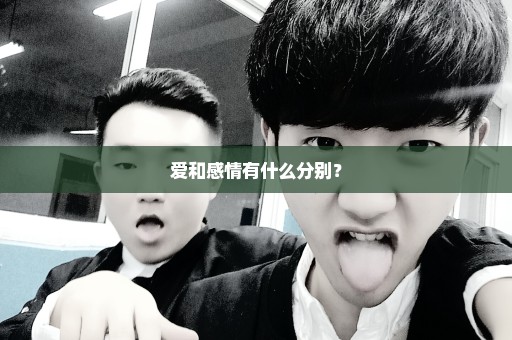 爱和感情有什么分别？