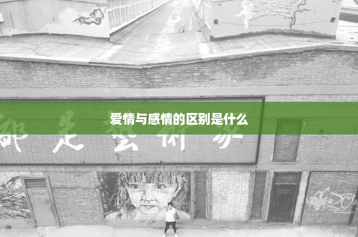 爱情与感情的区别是什么