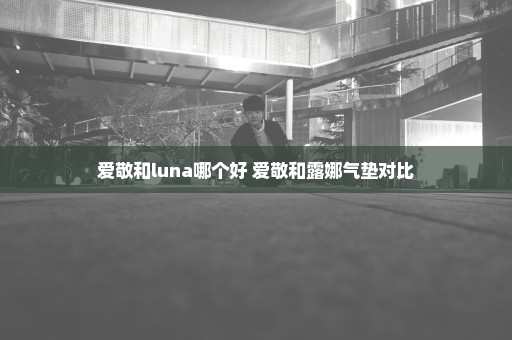 爱敬和luna哪个好 爱敬和露娜气垫对比