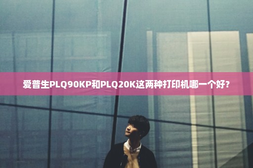 爱普生PLQ90KP和PLQ20K这两种打印机哪一个好？