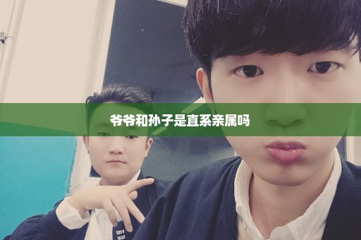 爷爷和孙子是直系亲属吗