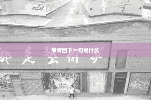 爷青回下一句是什么