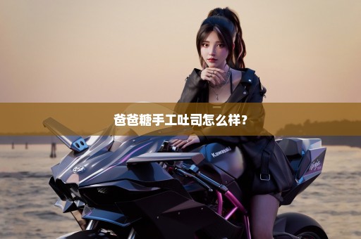 爸爸糖手工吐司怎么样？