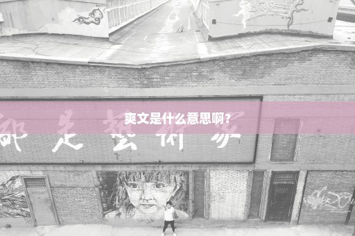 爽文是什么意思啊？