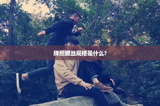 牌照螺丝规格是什么?
