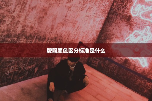 牌照颜色区分标准是什么