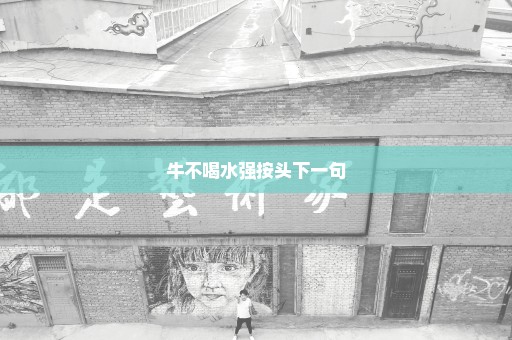 牛不喝水强按头下一句