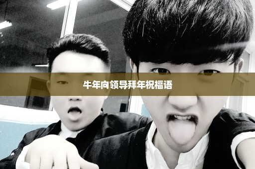 牛年向领导拜年祝福语