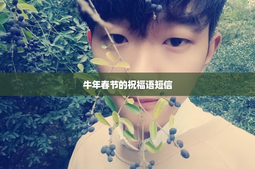 牛年春节的祝福语短信