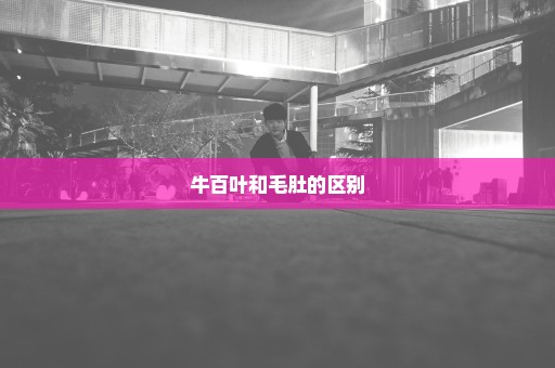 牛百叶和毛肚的区别