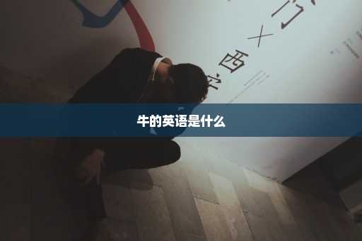 牛的英语是什么