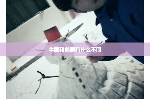 牛眼和鹅眼有什么不同