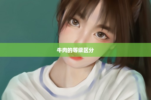 牛肉的等级区分