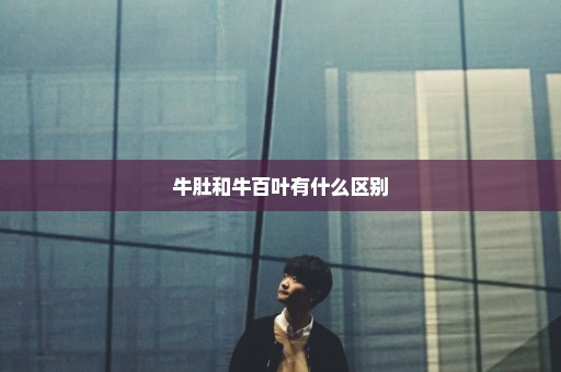 牛肚和牛百叶有什么区别