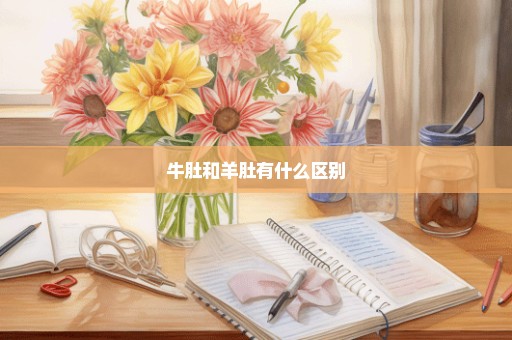 牛肚和羊肚有什么区别