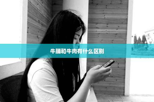 牛腩和牛肉有什么区别