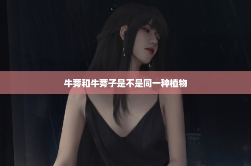 牛蒡和牛蒡子是不是同一种植物